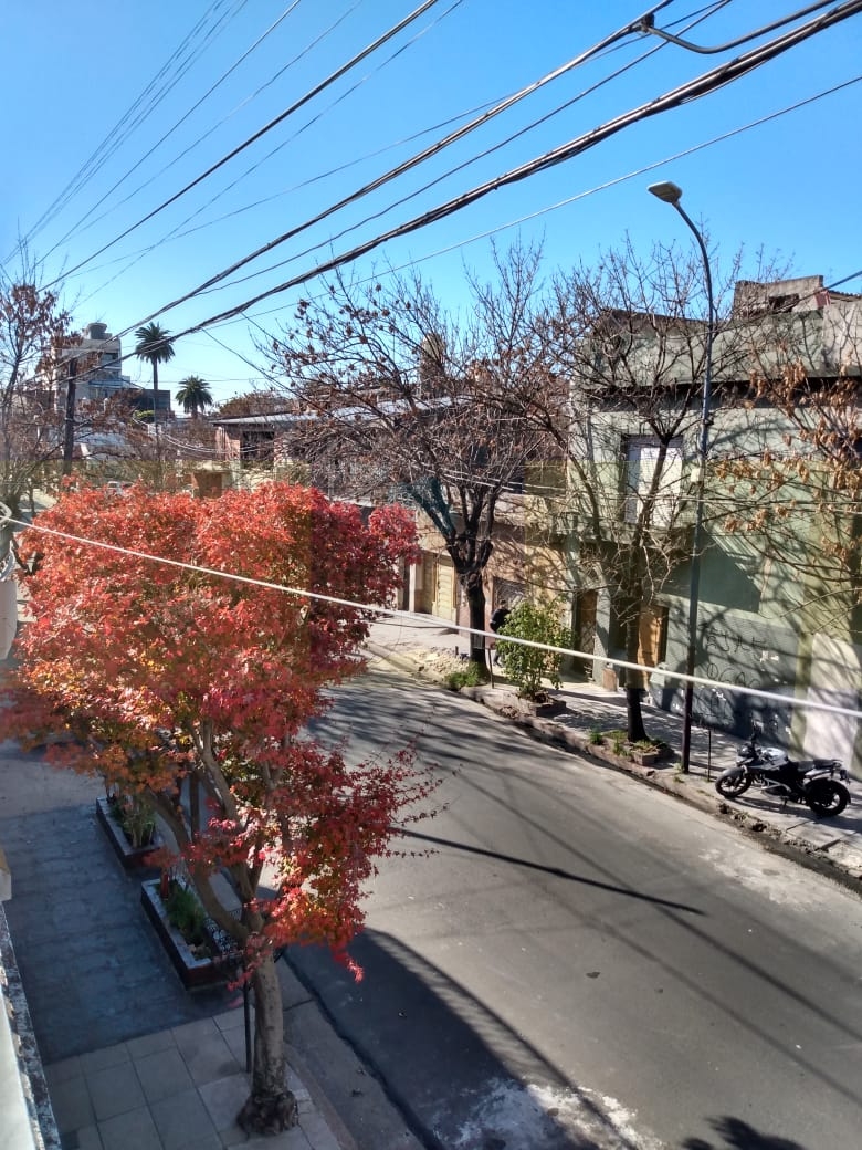 CHOELE CHOEL 853, Valentín Alsina, Argentina, 1824, ,Departamento Tipo Casa,En Venta,CHOELE CHOEL 853,1088