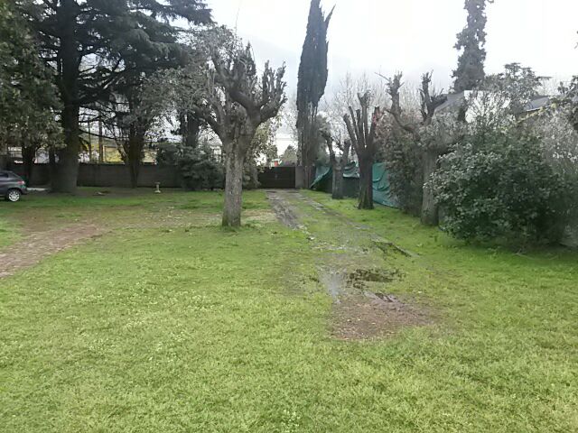 FAIR 126, MONTE GRANDE, BUENOS AIRES, Argentina, ,Casa Quinta,En Venta,FAIR 126,1004