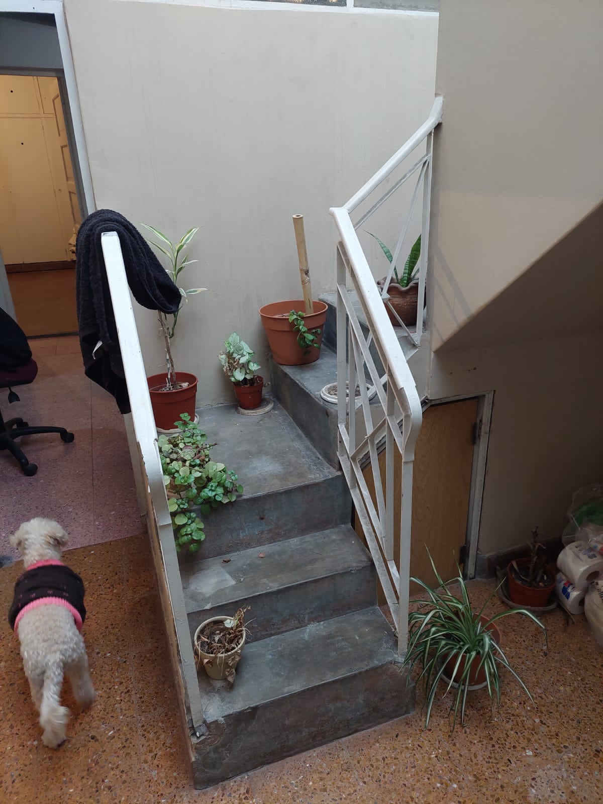 BALBIN 457, VALENTIN ALSINA, LANUS OESTE, BUENOS AIRES, Argentina, ,Casa,En Venta,BALBIN 457, VALENTIN ALSINA, LANUS OESTE,1050