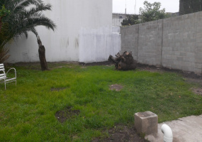 MAZZA 2783, Lanus, Argentina, 1824, ,Casa,En Alquiler,MAZZA 2783,1076
